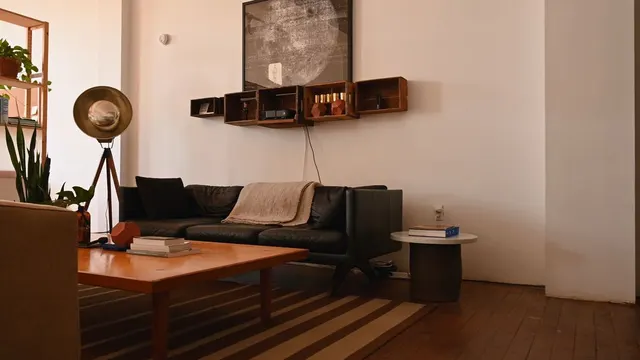 Video with picture frame, pillow, sofa, side table, coffee table and rug