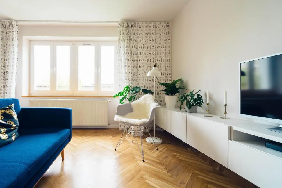 Photo with studio couch, radiator, television and houseplant