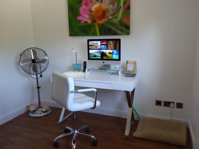 Photo with chair, television, mechanical fan and carpet